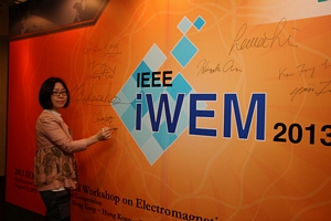 iWEM 2013