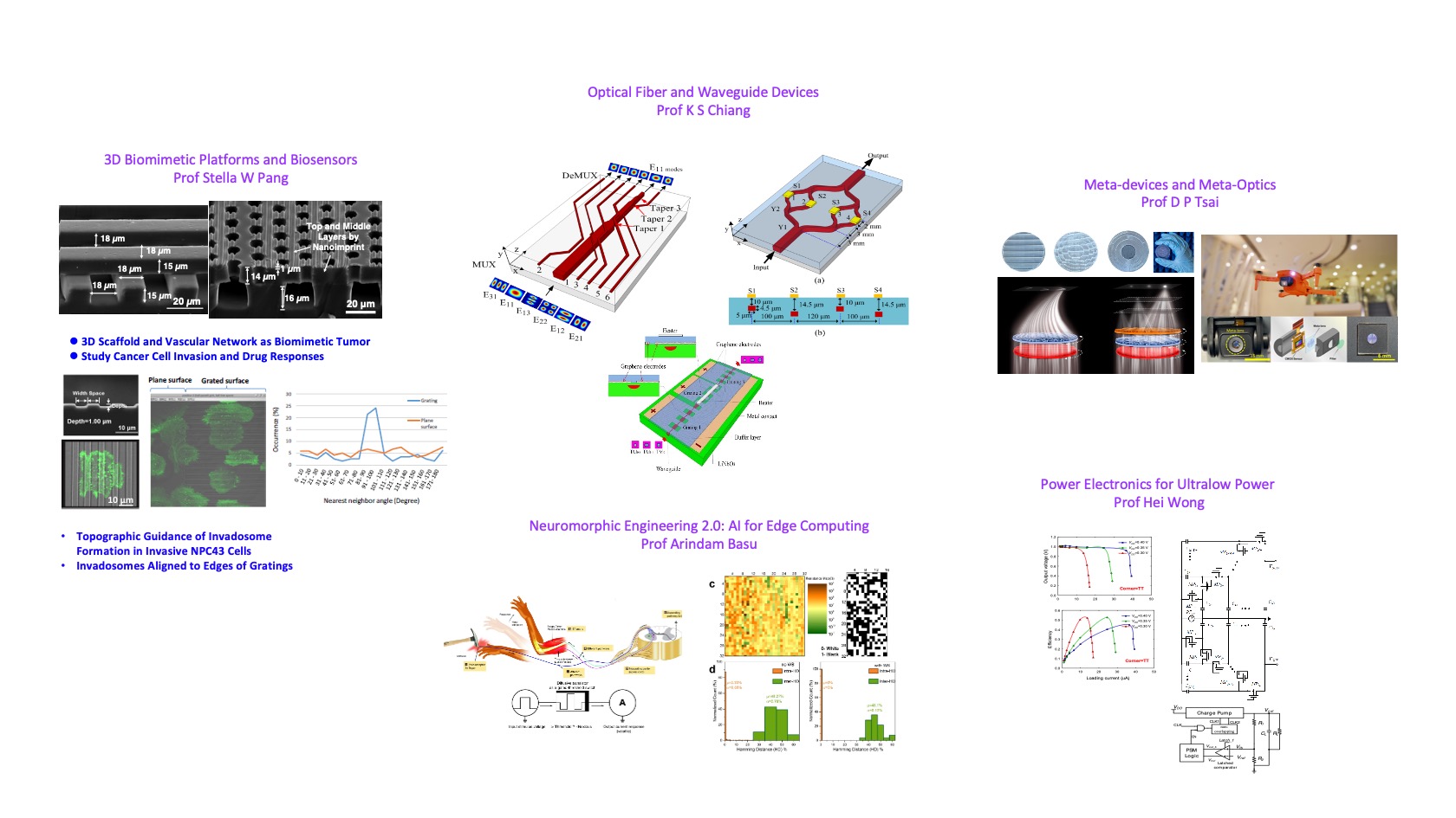 Optoelectronics, Electronics, and Biosystems