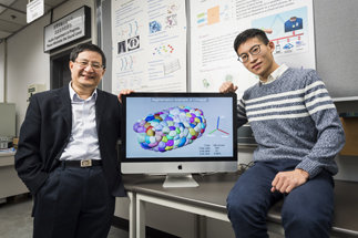 Journal Paper by Prof Hong Yan