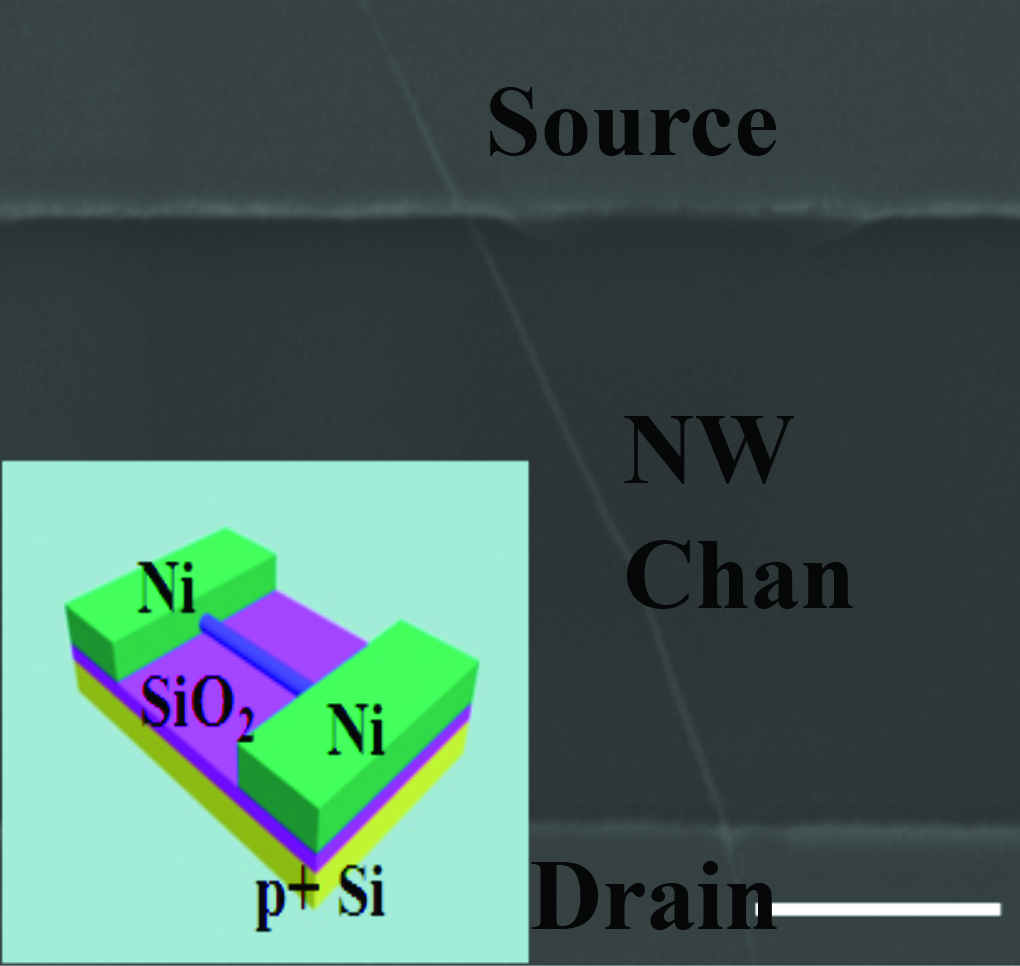 High-Performance Small-Diameter Nanowires for Electronics, Spintronics and Photonics