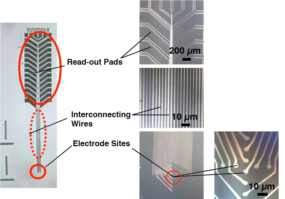 Neural Probe Project