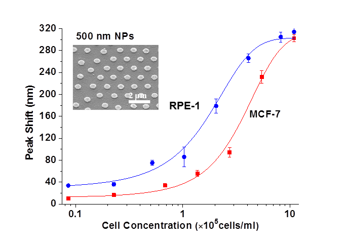 Plasmonic project