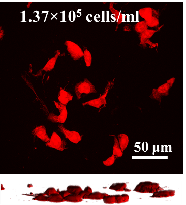 Plasmonic project