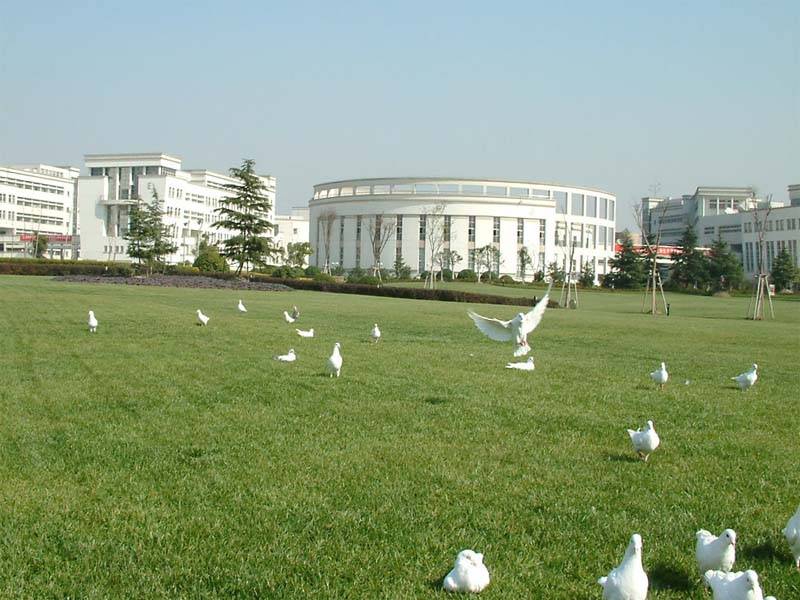 Center for Nonlinear Sciences