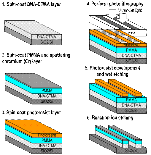 Design and fabrication of a high speed LiNbO3 optical modulator