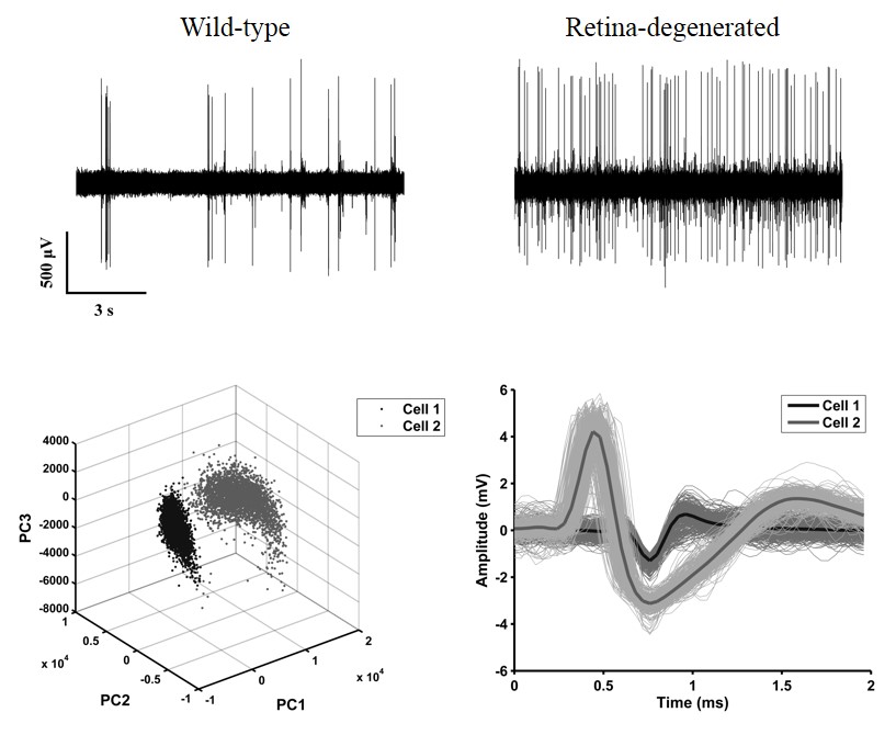 Research image 2